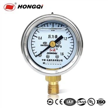 Hongqi Paslanmaz Çelik-Titreşim Önleyici Basınç Göstergesi