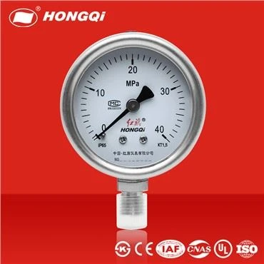 Hongqi Alt Bağlantı Manometresi 316 Ss Güvenlik Gözlükleri Basınç Göstergesi Fabrika Fiyatı OEM